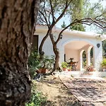 Lilly - Lovely Small Among Olive Trees *