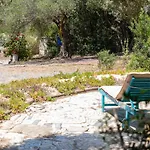 Lilly - Lovely Small Among Olive Trees 別荘 *