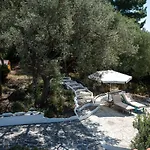 Lilly - Lovely Small Among Olive Trees * Sarroch
