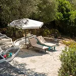 Lilly - Lovely Small Among Olive Trees Sarroch