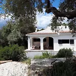 Lilly - Lovely Small Among Olive Trees Sarroch