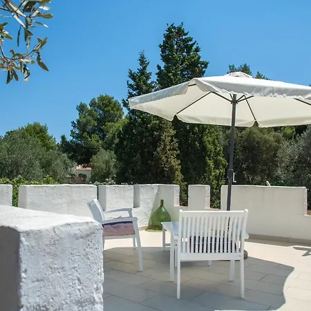 Lilly - Lovely Small Among Olive Trees Сasa de vacaciones