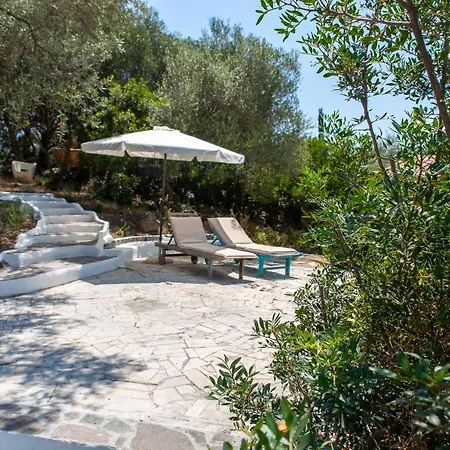 Lilly - Lovely Small Among Olive Trees Сasa de vacaciones