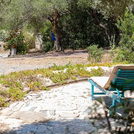 Lilly - Lovely Small Among Olive Trees Сasa de vacaciones *