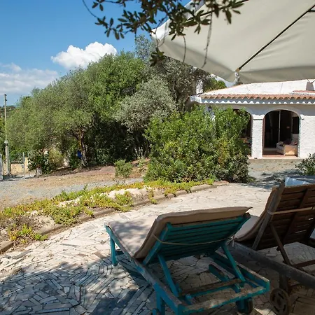 Lilly - Lovely Small Among Olive Trees