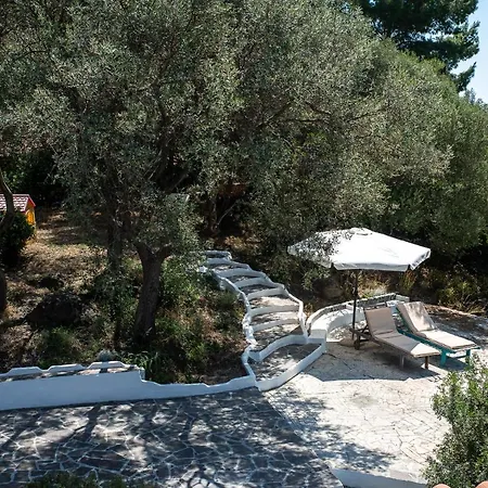 Lilly - Lovely Small Among Olive Trees * Sarroch