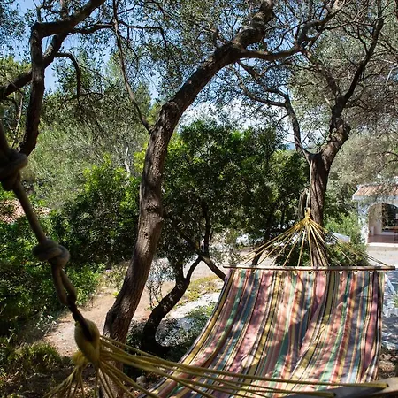 Сasa de vacaciones Lilly - Lovely Small Among Olive Trees