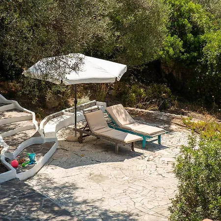 Lilly - Lovely Small Among Olive Trees Sarroch