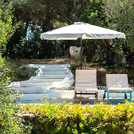 Lilly - Lovely Small Among Olive Trees Sarroch