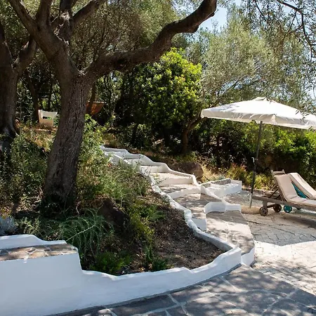 Сasa de vacaciones Lilly - Lovely Small Among Olive Trees